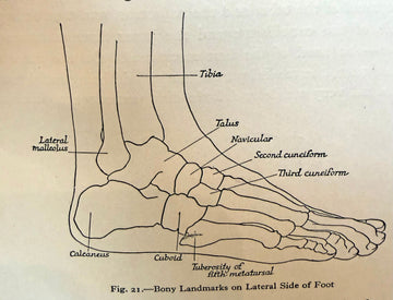 Why Your Feet Hurt — And Why the Answer Is Usually Your Shoes